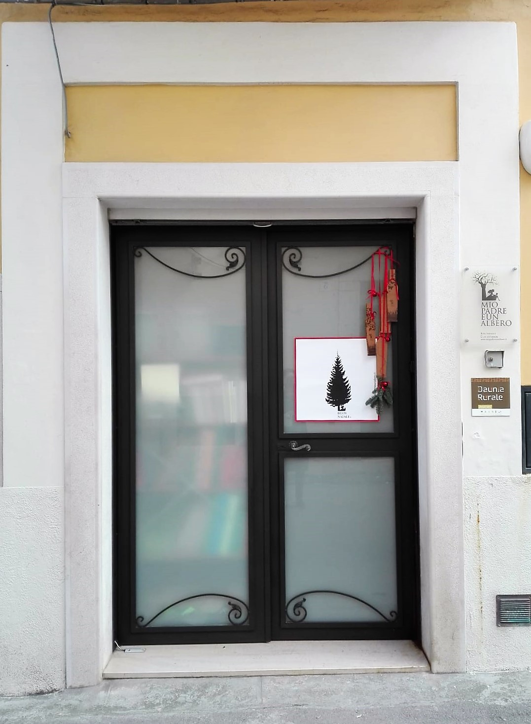 mio-padre-e-un-albero-natale